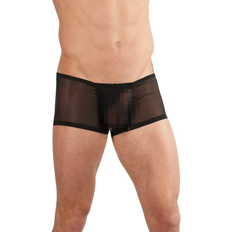 Pants - See-through - Black (#2450)