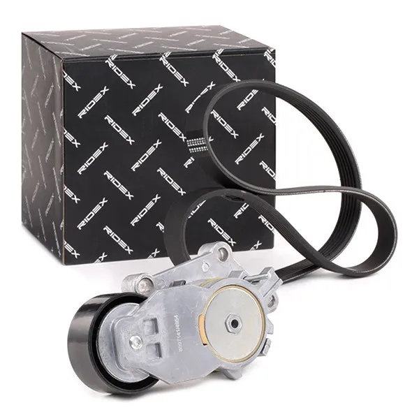 RIDEX 542R0114 Drivremssats