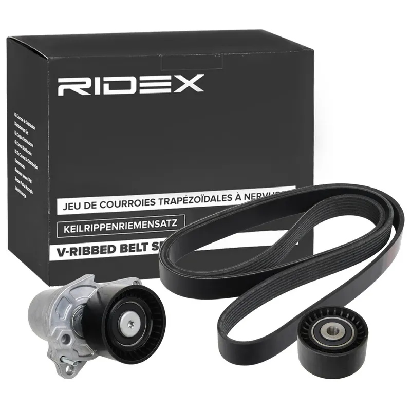Drivremssats RIDEX 542R0315