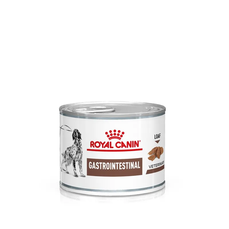 Veterinary Diets Gastrointestinal Loaf Can för hund – 12 x 200 g
