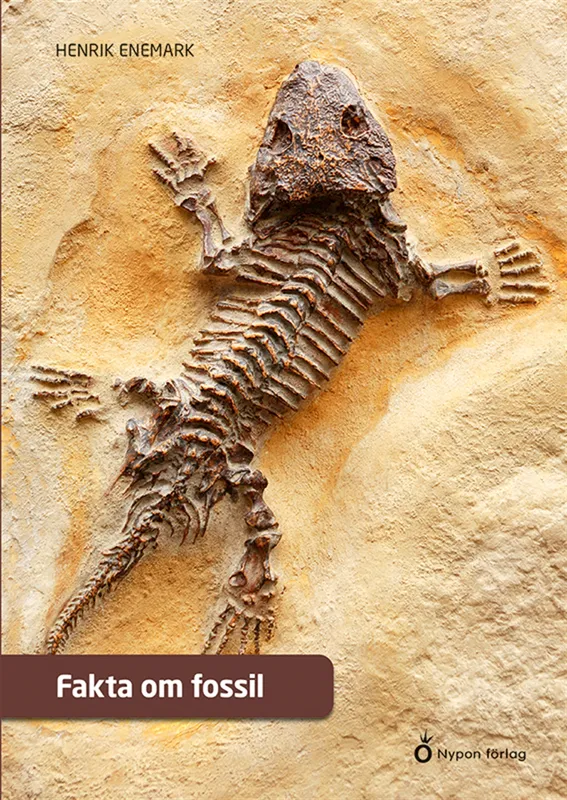 Fakta om fossil, E-bok
