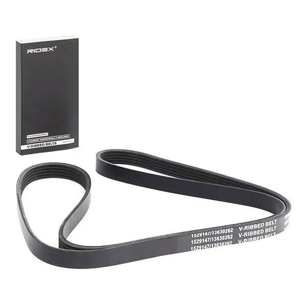 Multirem RIDEX 305P0196