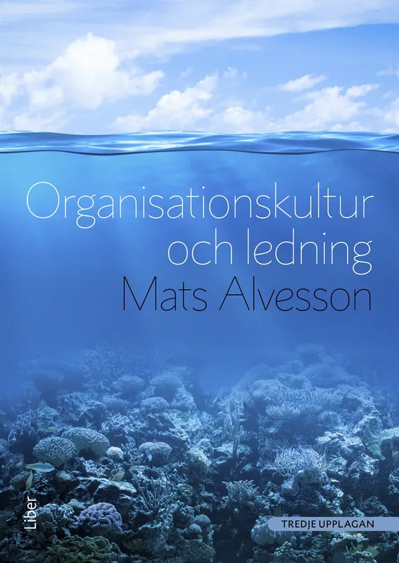 Organisationskultur och ledning, E-bok