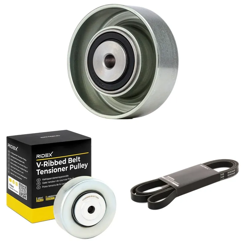 Drivremssats RIDEX 542R0339