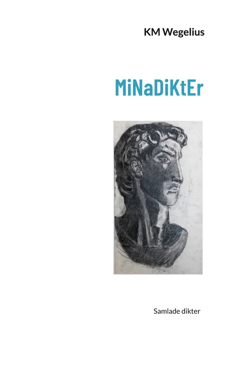 MiNaDiKtEr, E-bok