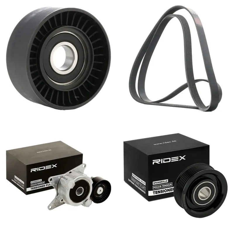 Drivremssats RIDEX 542R0079
