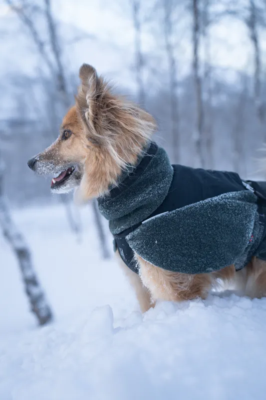 Non-stop Dogwear Wool Dog Jacket - Small Sizes Dark Teal