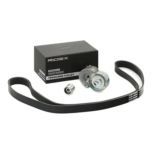 Drivremssats RIDEX 542R0055