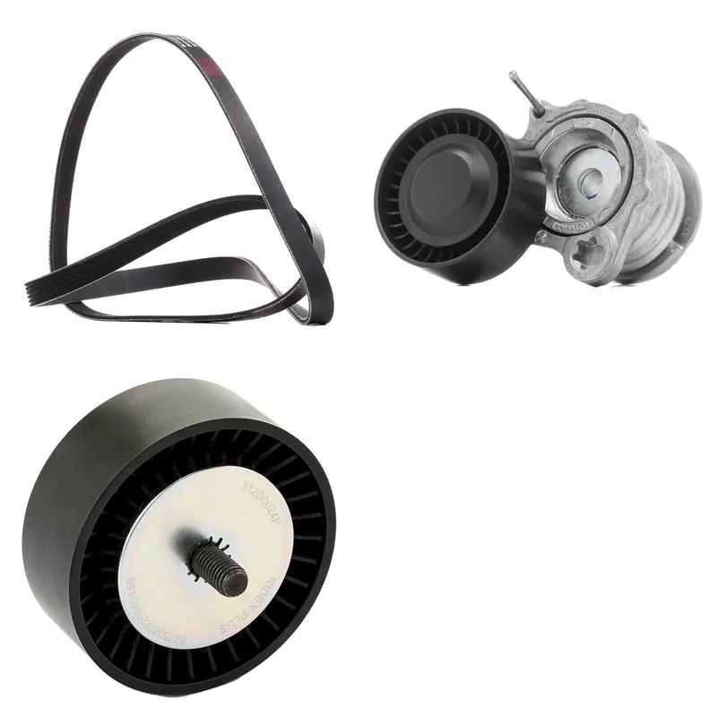 Drivremssats RIDEX PLUS 542R0921P