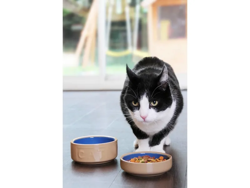 Mason Cash Matskål Cat Keramik Beige 13cm