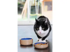 Mason Cash Matskål Cat Keramik Beige 13cm