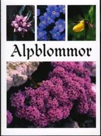 Alpblommor