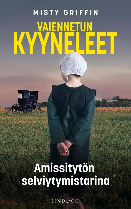 Vaiennetun kyyneleet, E-bok