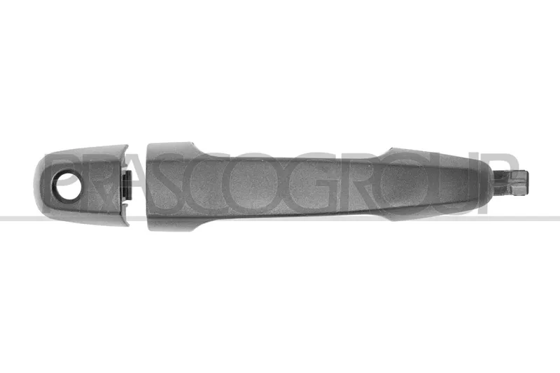 Dörrhandtag PRASCO MB8218011