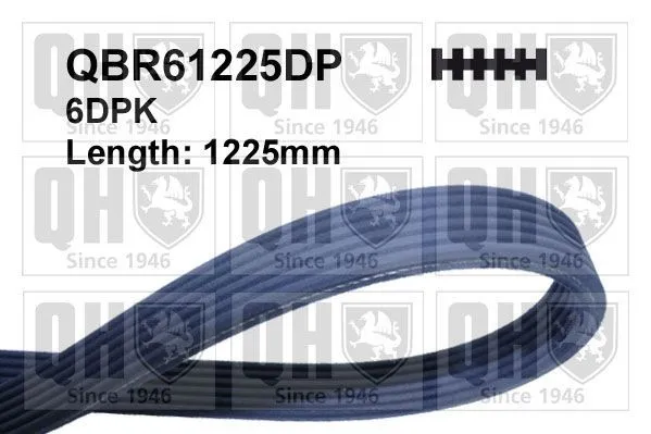 Multirem Quinton Hazell QBR61225DP