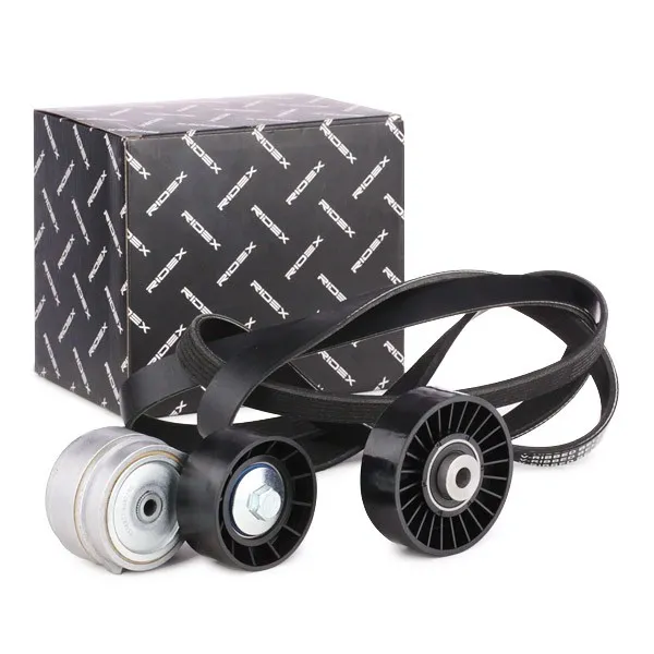 Drivremssats RIDEX 542R0165
