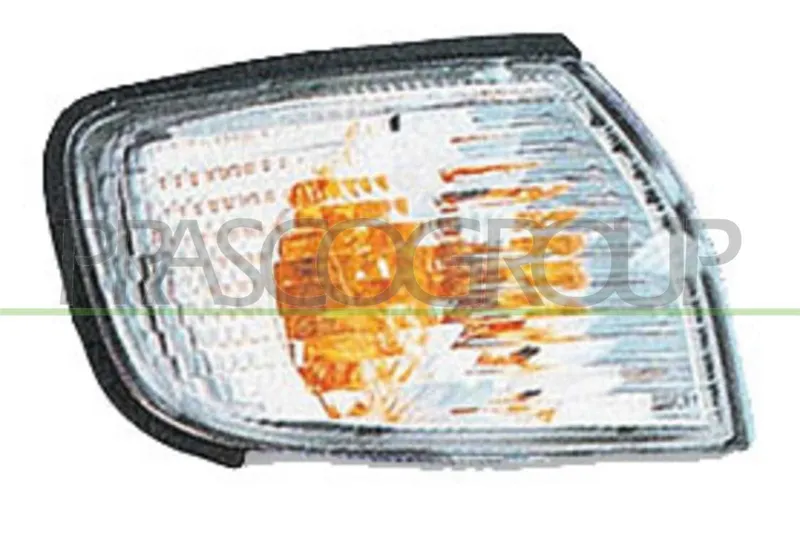 Blinker PRASCO DS4224014