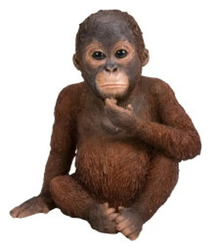 Orangutangunge (Polystone)