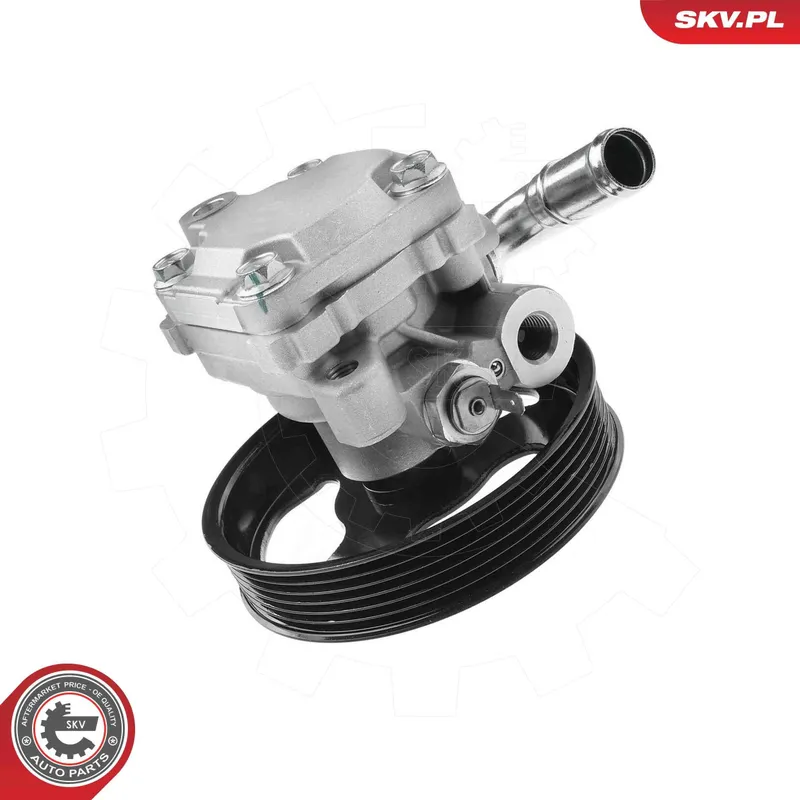 Servopump ESEN SKV 10SKV341