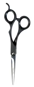 Professionell Sax Rak 15,6cm