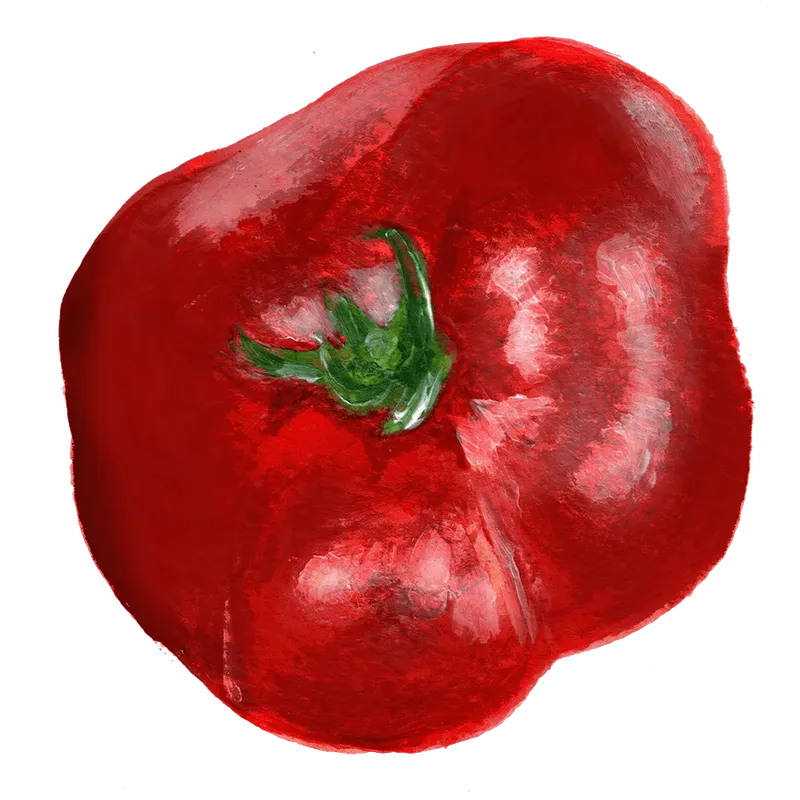 Tomat Sasha Altai – Solanum lycopersicum Sasha Altai