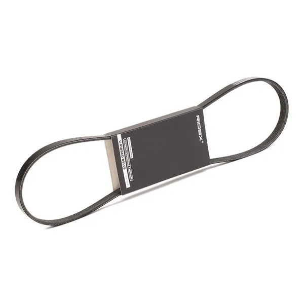Multirem RIDEX 305P0376
