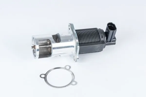 EGR-ventil WAHLER 710723D