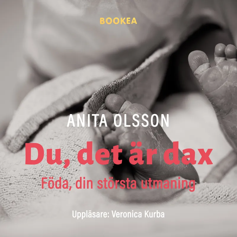 Du det är dax : föda din största utmaning, Ljudbok