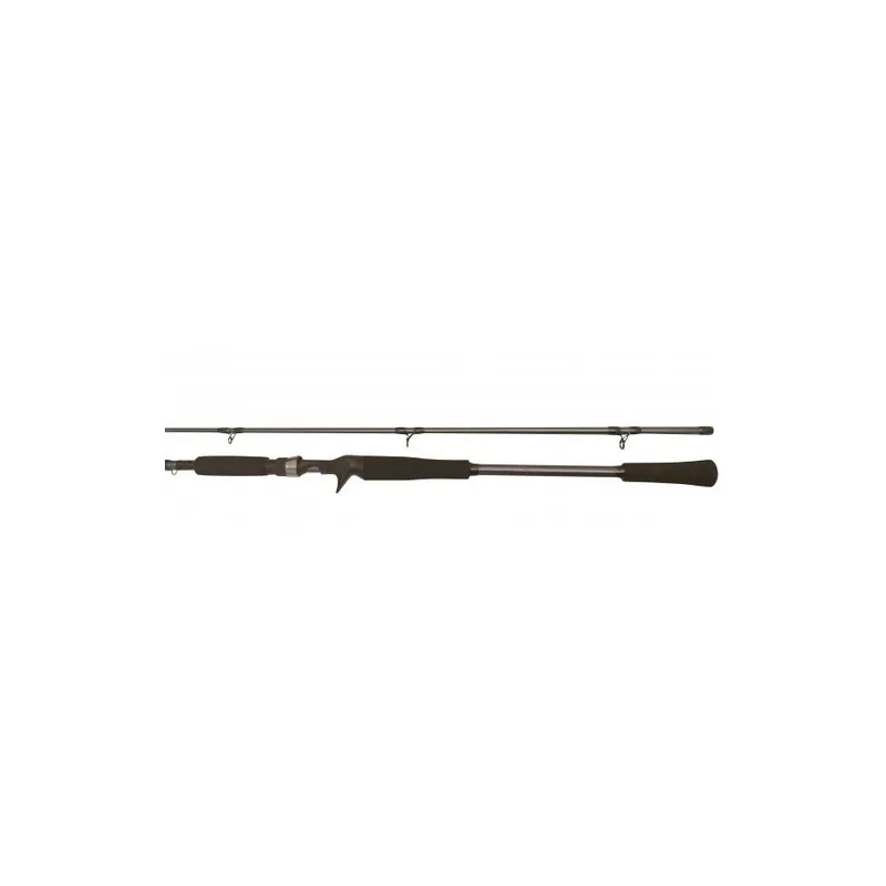 BFT Raptor G2 Pike Multi 8′ -100g T Spinnspö