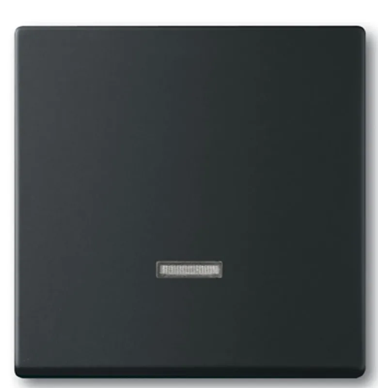 ABB 2CKA006599A2968 Centrumplatta för dimmer