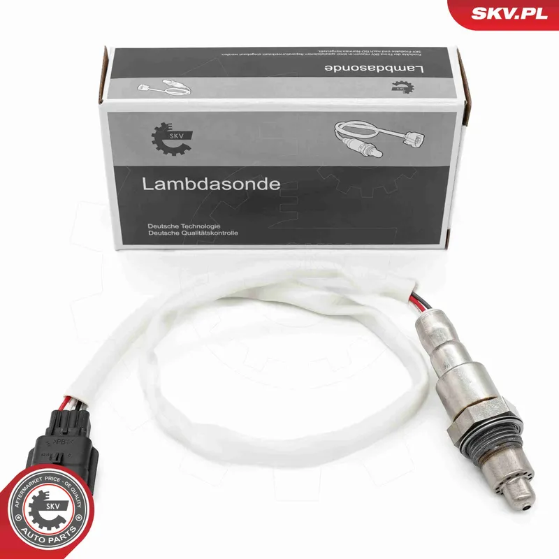 Lambdasond ESEN SKV 09SKV173