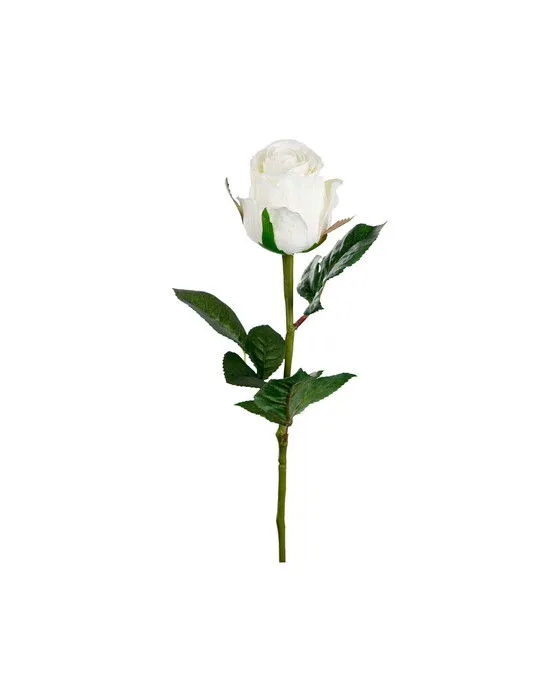 Ros snittblomma vit