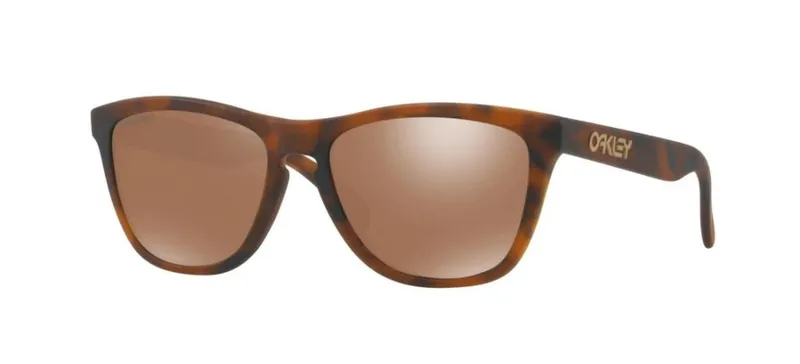 Oakley Frogskins OO 9013 C5