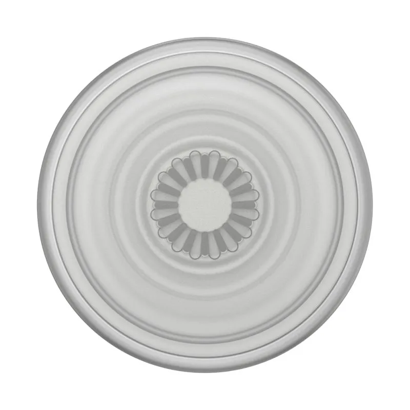 POPSOCKETS PopGrip Plant - Faded Stone