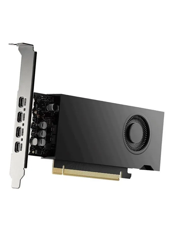 PNY RTX 2000 Ada Small Box - 16GB GDDR6 RAM - Grafikkort