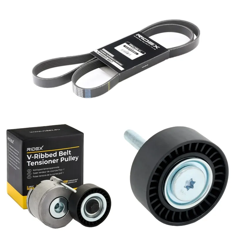 Drivremssats RIDEX 542R0291