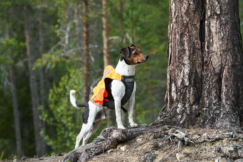 Non-stop Dogwear Protector Vest Gps Orange