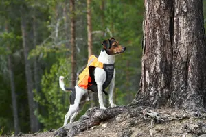 Non-stop Dogwear Protector Vest Gps Orange