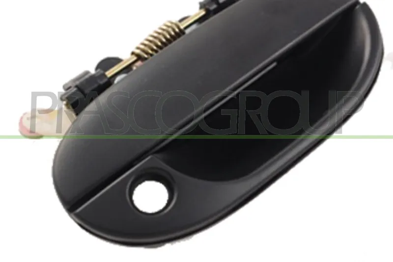 PRASCO HN0148001 Dörrhandtag