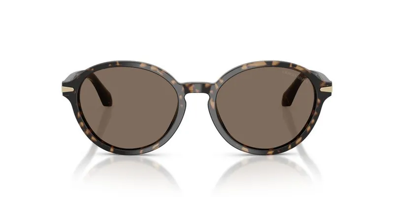 Giorgio Armani AR 8237 623573
