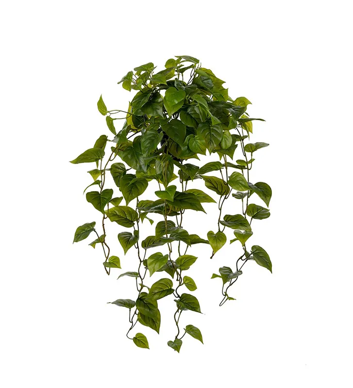 Konstväxt Gullranka 100 cm