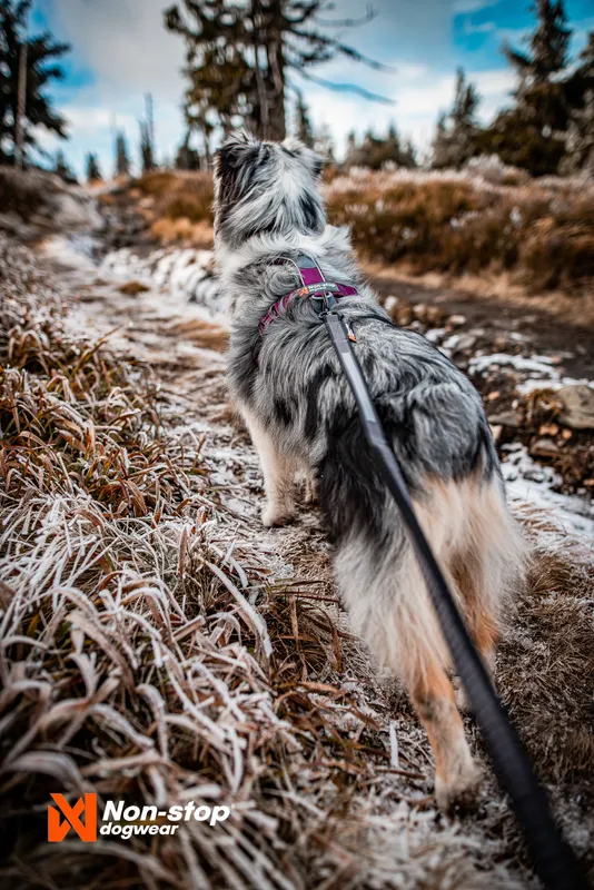 Line Harness 5.0 Hundsele Blå 4