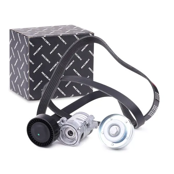Drivremssats RIDEX 542R0478