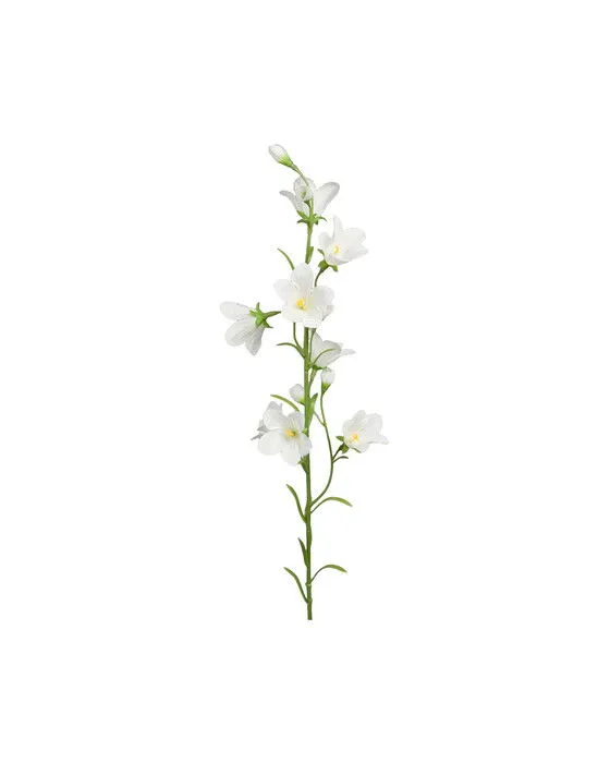 Eternell snittblomma blå