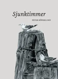 Sjunktimmer