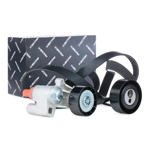 Drivremssats RIDEX 542R0571