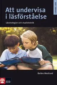 Att undervisa i läsförståelse, Andra upplagan