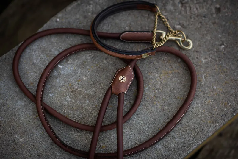 Asti Hundhalsband Halvstryp Brun 30cm