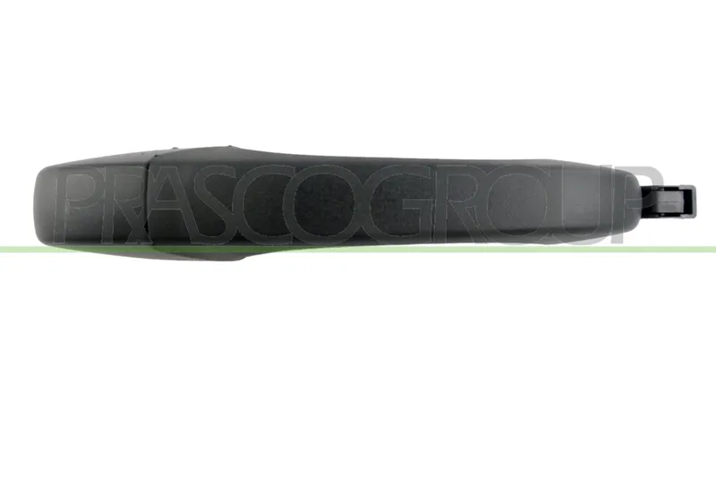 Dörrhandtag PRASCO DG0118111