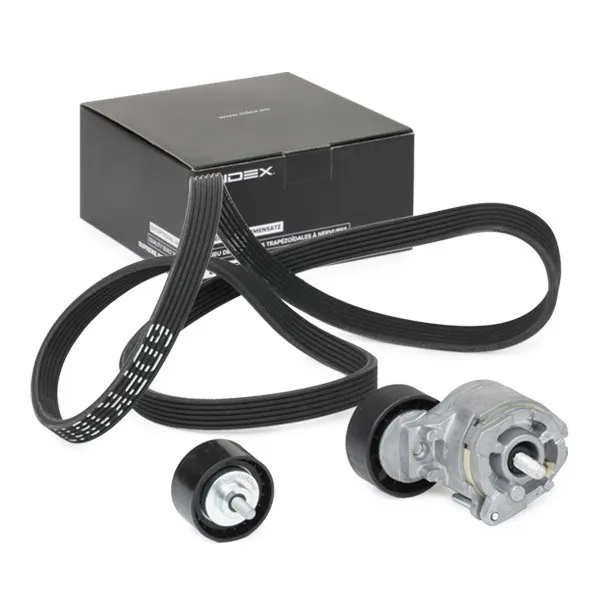 Drivremssats RIDEX 542R0175
